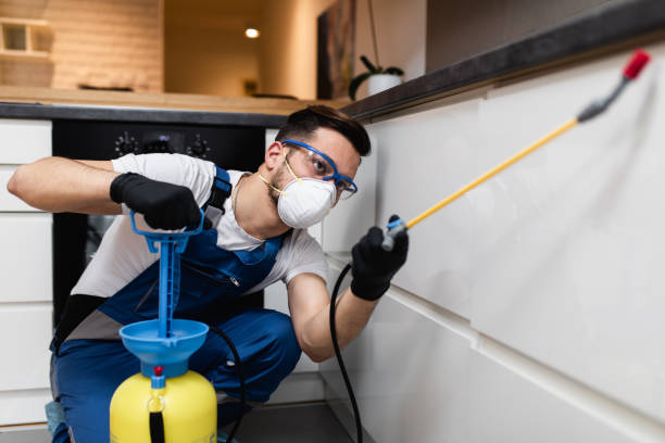 Best Rat Extermination Near Me  in Woodbury Center, CT