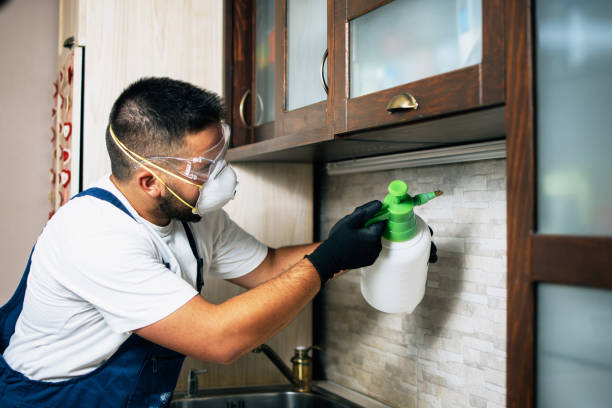 Best Best Pest Control Companies  in Woodbury Center, CT