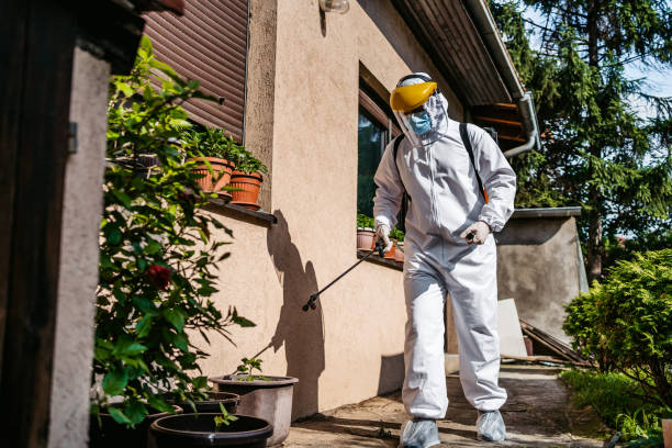 Best Wasp Removal Services  in Woodbury Center, CT