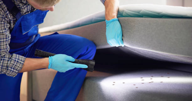 Best Pest Inspection Near Me  in Woodbury Center, CT