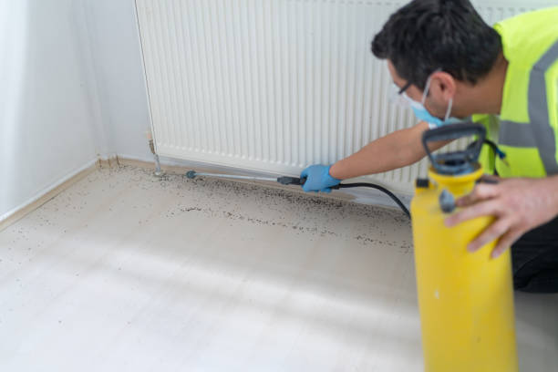 Best Commercial Pest Control Services  in Woodbury Center, CT