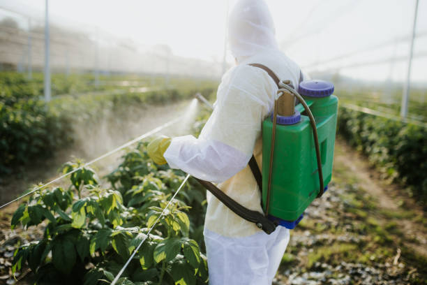 Best Best Pest Control Companies  in Woodbury Center, CT